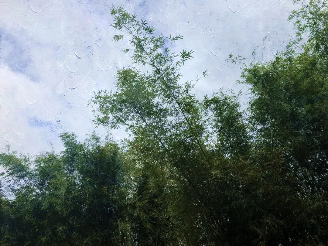 灌阳新圩美食,新圩镇有什么美食