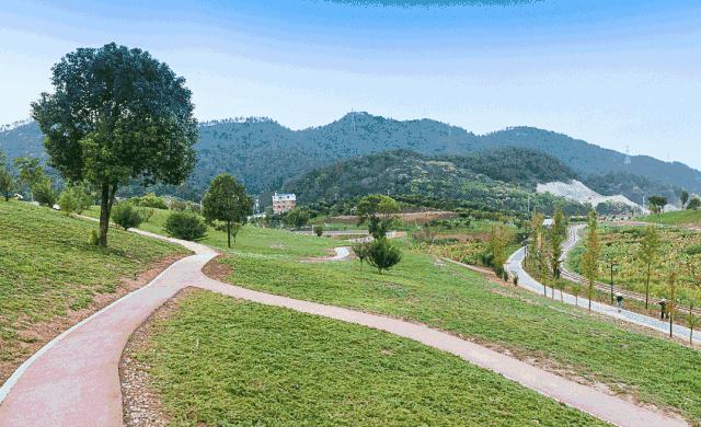 开心谷、马畈乐园、花间乐园……义乌“网红景点”因为这个问题无一幸免