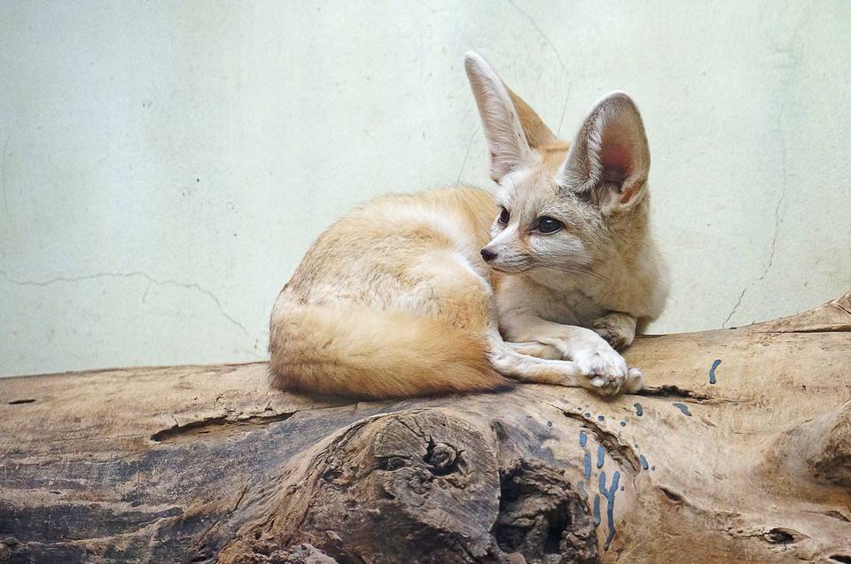 足球亚洲杯举办地,足球亚洲杯举办地方