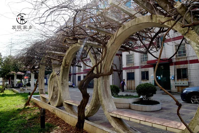 青眼看新北酒店,青眼看新北审核多久