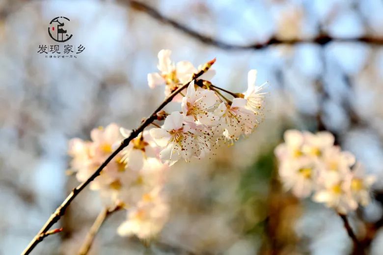 青眼看新北酒店,青眼看新北审核多久