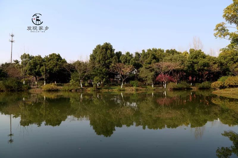 青眼看新北酒店,青眼看新北审核多久