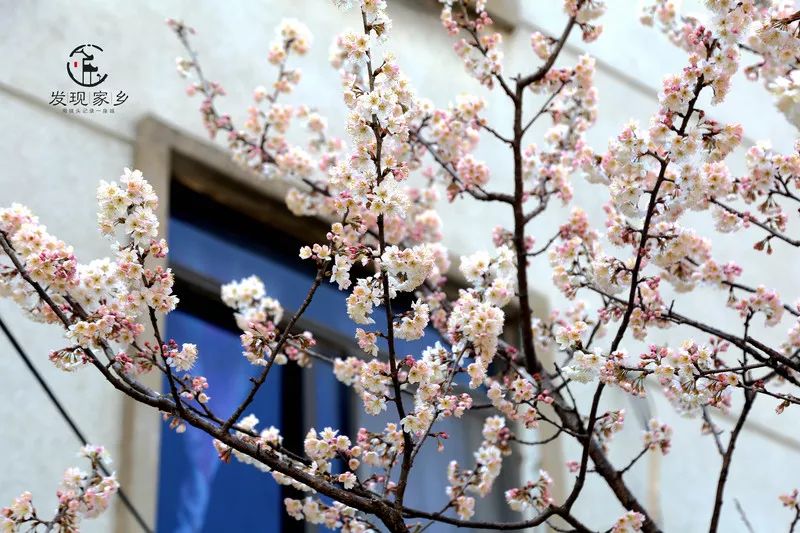 青眼看新北酒店,青眼看新北审核多久