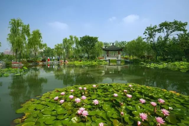 喜欢杭州的30个理由,喜欢抖音的4个理由