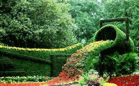 喜欢杭州的30个理由,喜欢抖音的4个理由