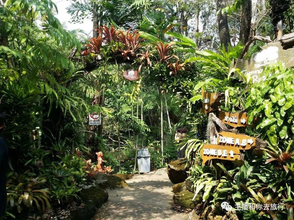 泰国落地签最新政策2023价格,泰国落地签30天政策