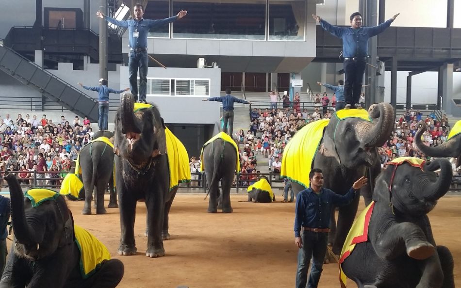 泰国落地签最新政策2023价格,泰国落地签30天政策