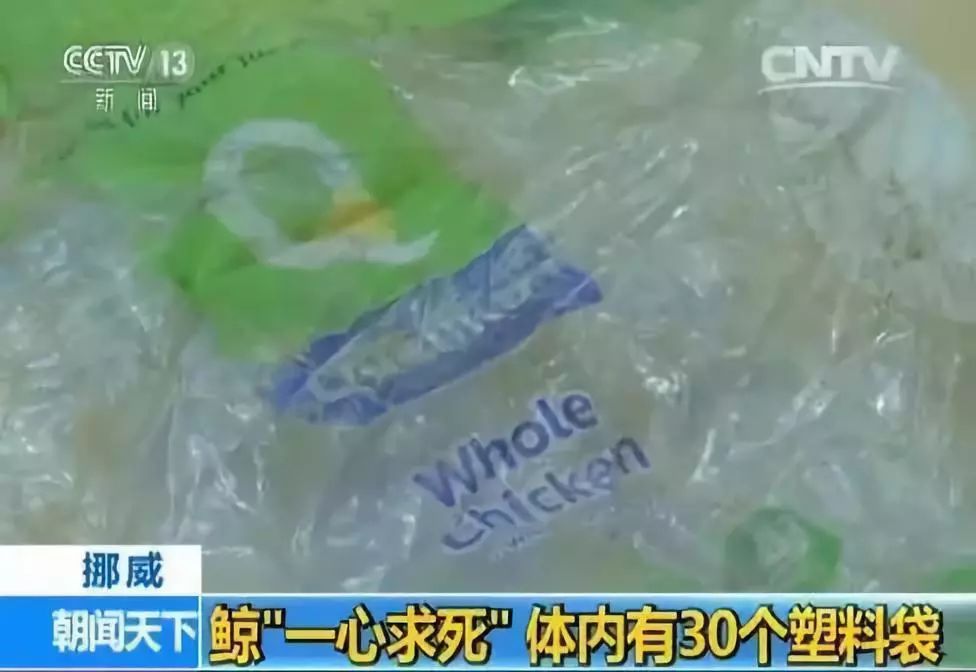 星巴克吸管缺点,星巴克吸管降解能用多少年