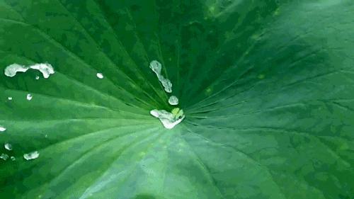 雪为什么是白色的看图写话,雪为什么白色不透明