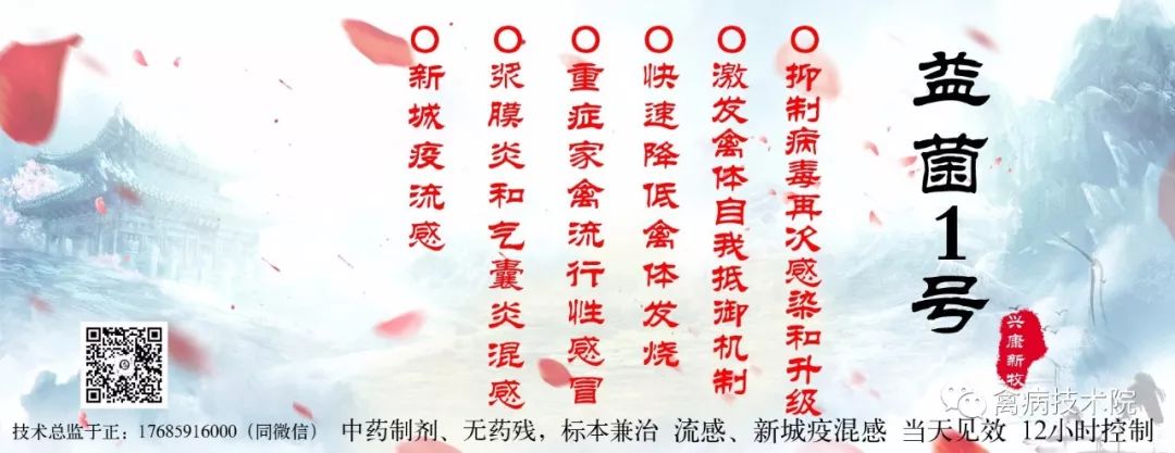 抗生素抗病毒镇痛药可以一起吃吗,鸡用抗菌素药有哪些