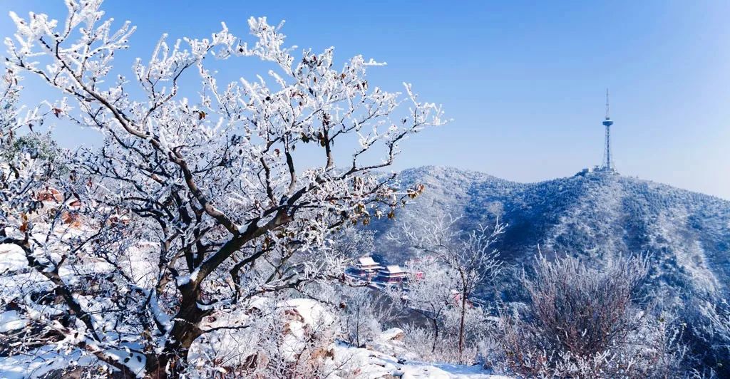 相山公园恢复,相山新公园