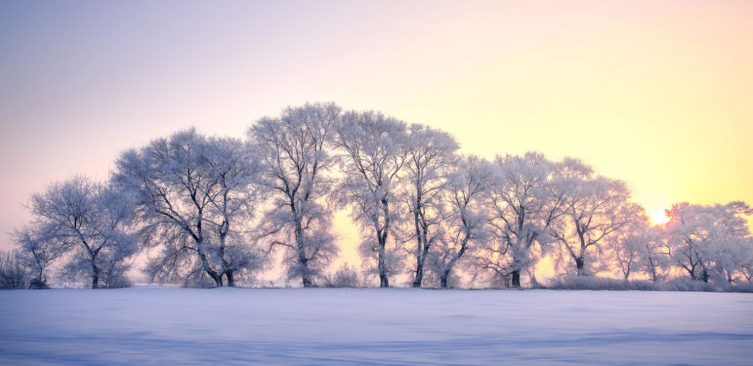 满洲里蒙古国际冰雪节,满洲里2019年国际冰雪节