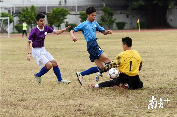 惠州足球联赛冠军,惠州青少年足球8人制比赛