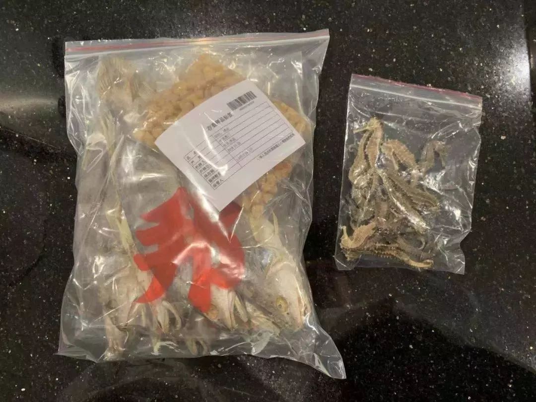 要过年了回家要带什么,要过年了去广东