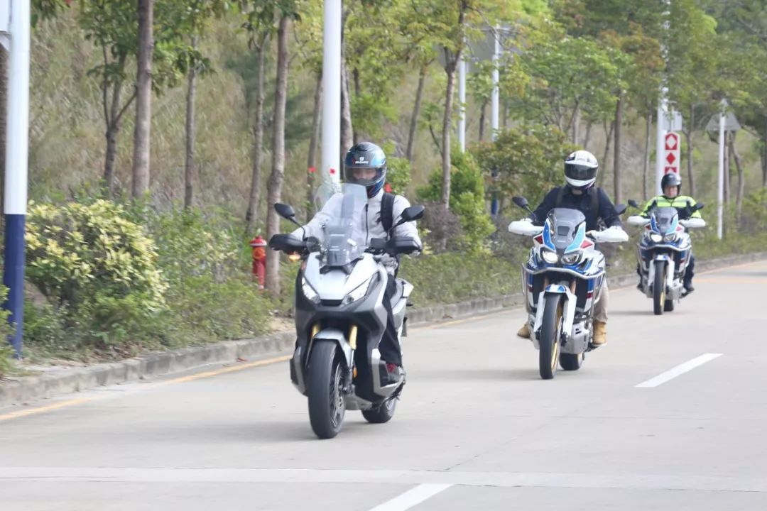 全新本田金翼有几款车型,本田新款大金翼