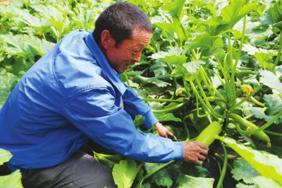 兰州新区引大入秦工程路线图,兰州新区引大入秦工程项目