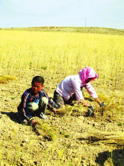 兰州新区引大入秦工程路线图,兰州新区引大入秦工程项目