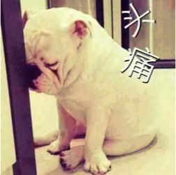 被控制的“好人”丨专栏