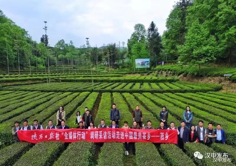 三区建设贡献力量,召开三市建设研讨会