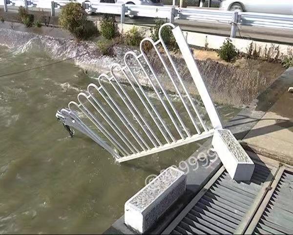 男子驾车坠湖事件真相,公交租车坠湖事件后续