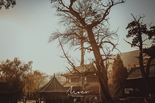 巍巍太行风景无限好,巍巍太行英雄故乡