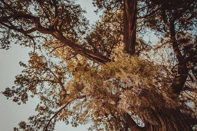 巍巍太行风景无限好,巍巍太行英雄故乡