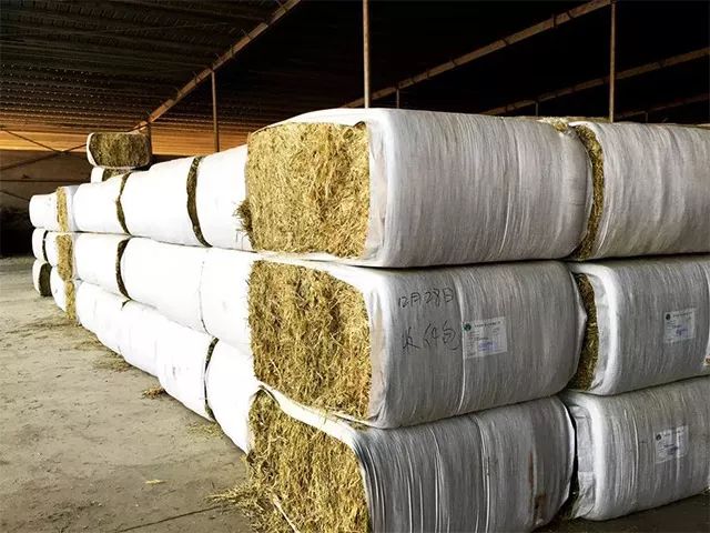 一根广式腊肠50克左右,一根广式腊肠500左右