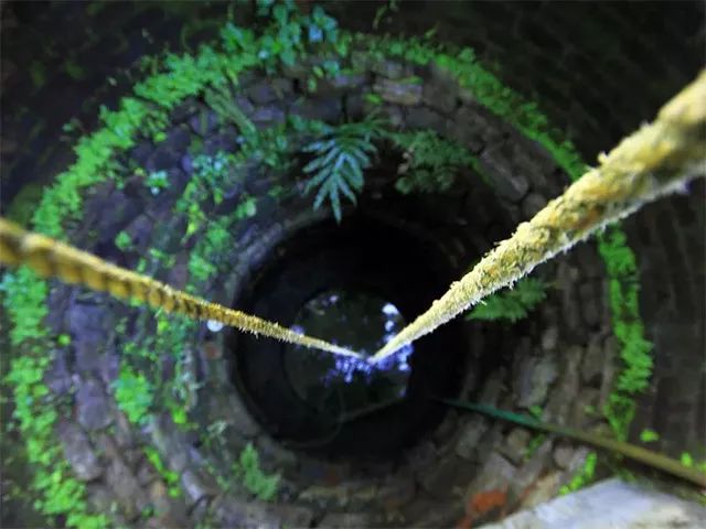 一根广式腊肠50克左右,一根广式腊肠500左右