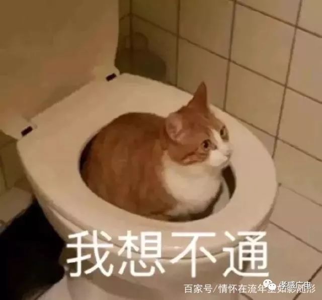 救命！我要被这些“奇葩冬装”笑死了，哈哈哈哈……