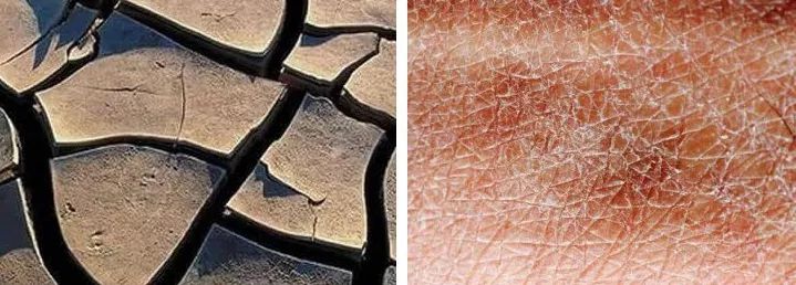 新西兰进口沐浴露,白菜价洗发水沐浴露