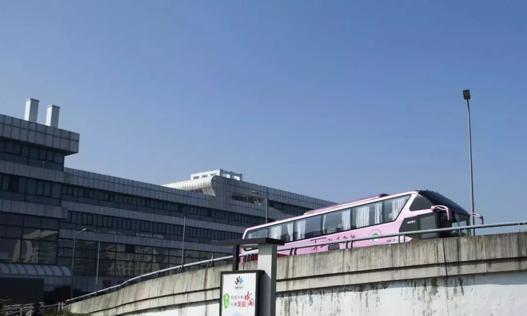 宁波将开通2条重阳节公交专线,宁波萧山机场快线