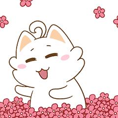 贵阳的经济在全国排名变化,贵阳经济增速连续六年居全国第一