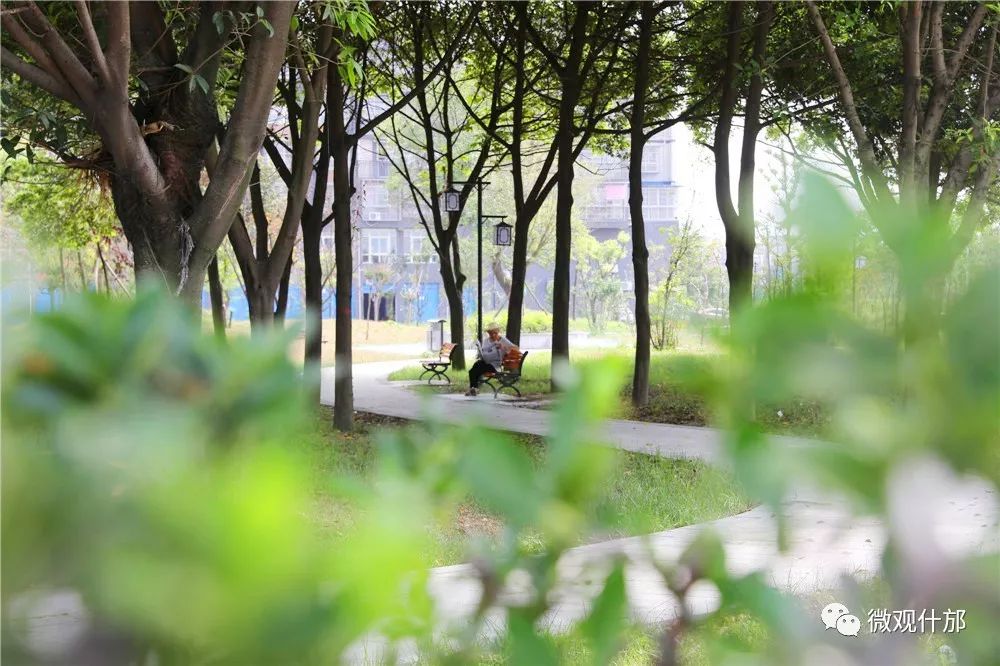 什邡，我深深爱恋的一个美丽城市