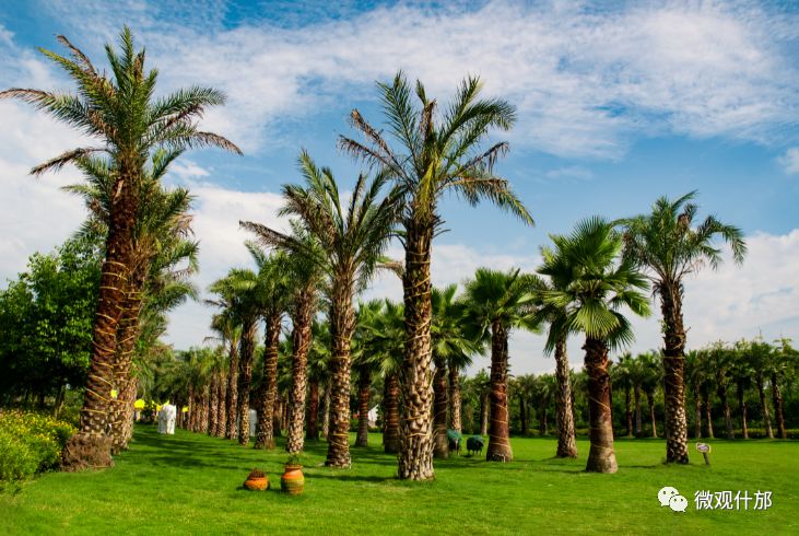 什邡，我深深爱恋的一个美丽城市