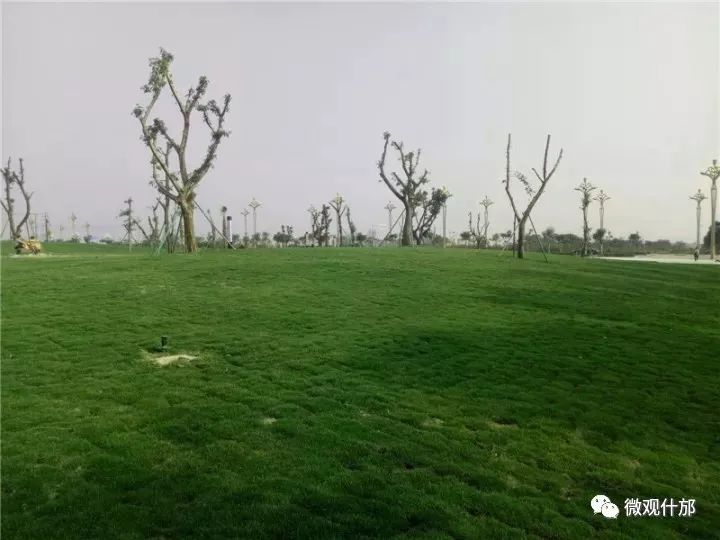 什邡，我深深爱恋的一个美丽城市