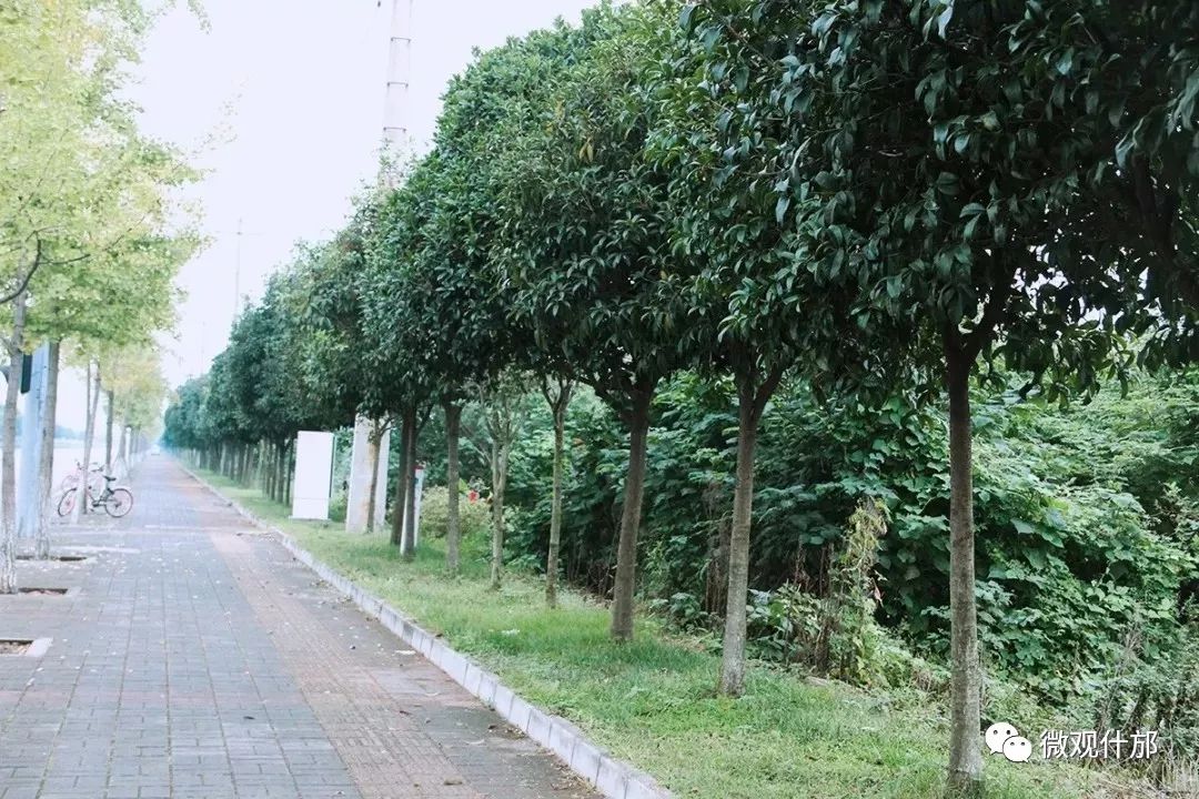 什邡，我深深爱恋的一个美丽城市