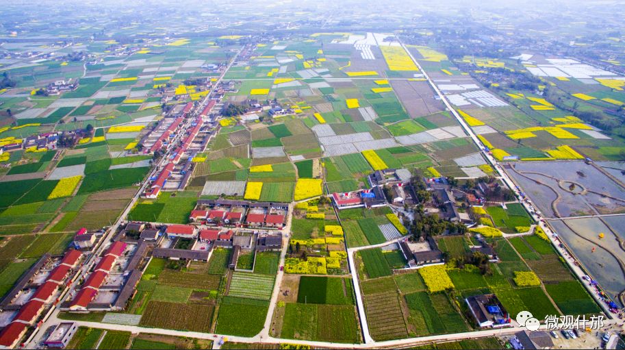 什邡，我深深爱恋的一个美丽城市