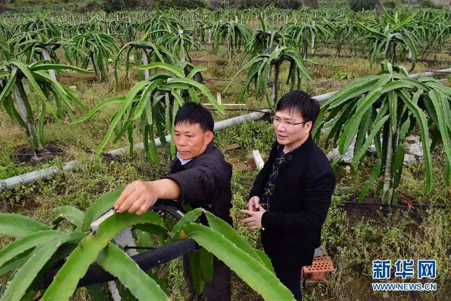以习*平近**同志为核心的*党**中央关心广西发展纪实