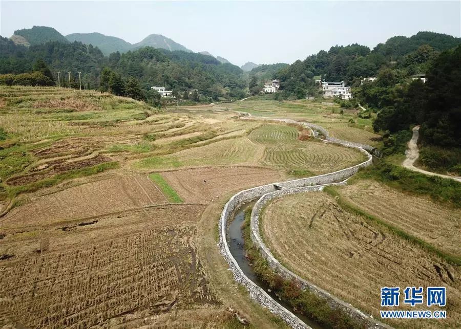 以习*平近**同志为核心的*党**中央关心广西发展纪实