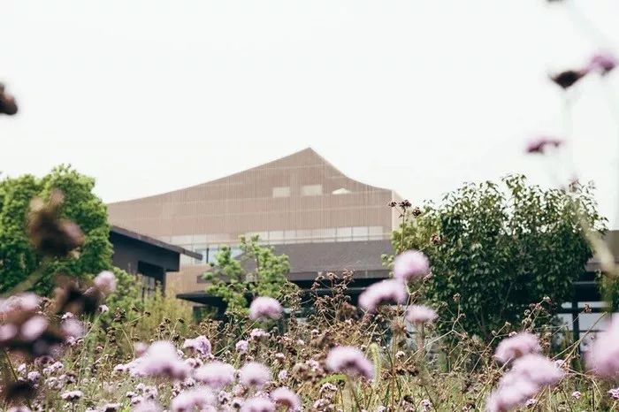 苏州十大汗蒸温泉,苏州市区汗蒸馆排名榜