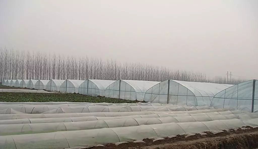 不是三九，胜似三九，小微提醒你千万别“滑冰”！