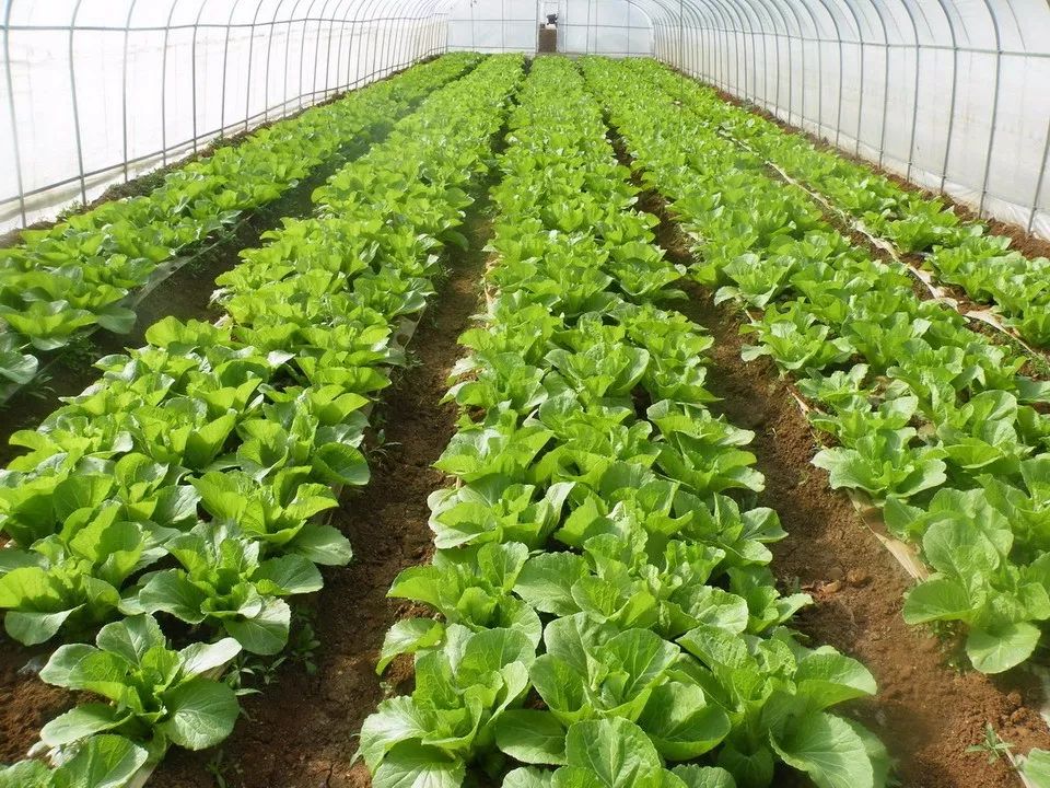 不是三九，胜似三九，小微提醒你千万别“滑冰”！