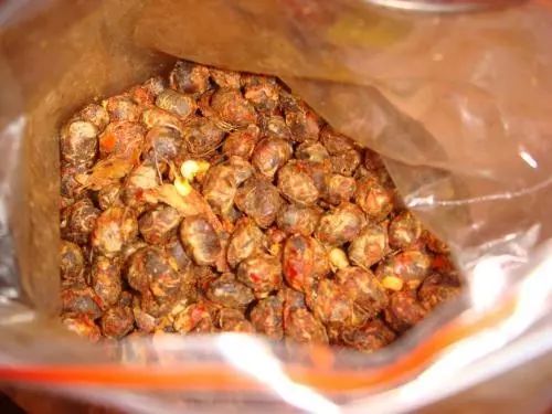 舌尖上的中国来过济宁吗,舌尖上的中国江苏邳州