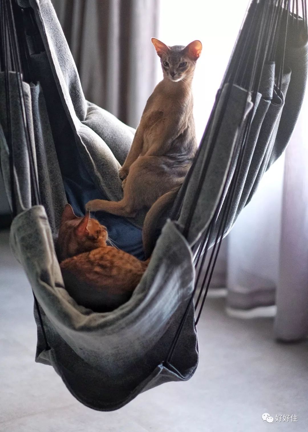 年度总结住新房,2018年的年终个人总结