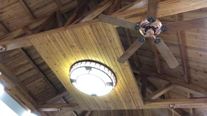 阿拉看环境|与两代“城市美容师”的一次面对面交流