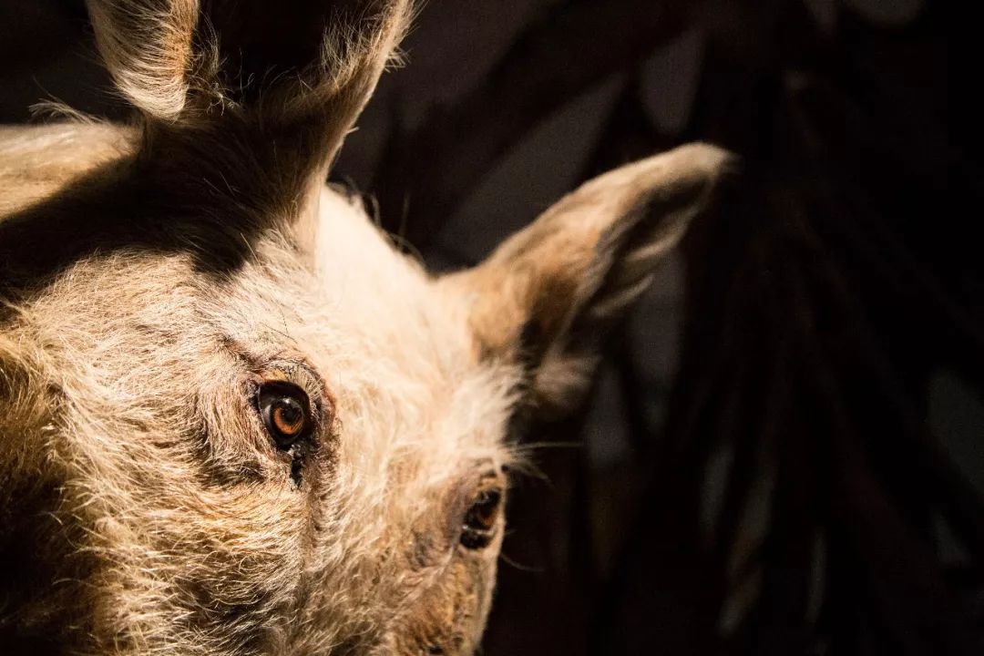 邬建安作品价格,邬建安