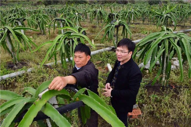 八桂大地起春潮——以习*平近**同志为核心的*党**中央关心广西发展纪实