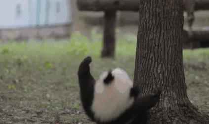 电子眼抓拍最新消息,昆明南绕城高速新增电子眼