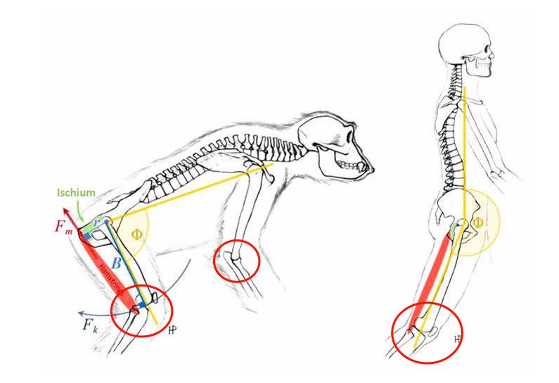 双十二直降1000米,双12遇上大降温
