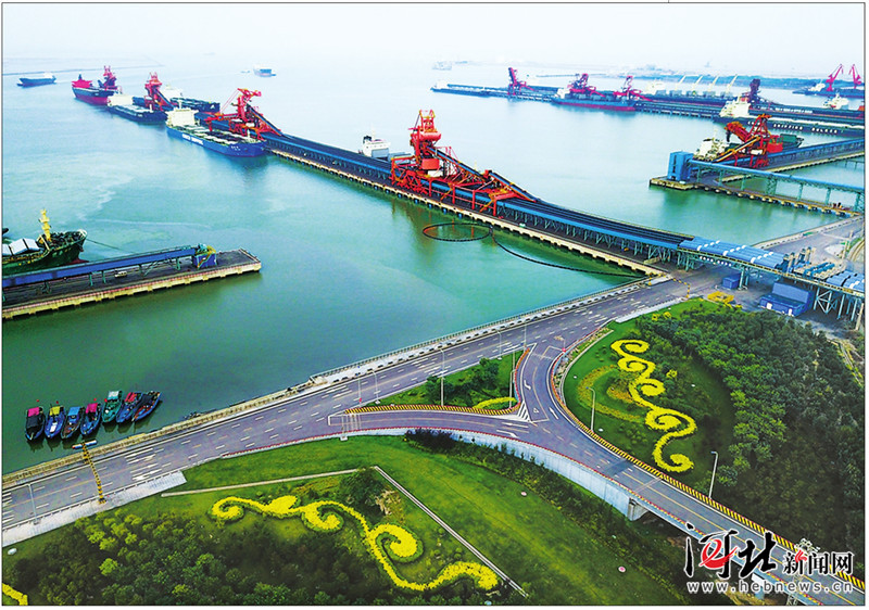 一个渔村的大港梦